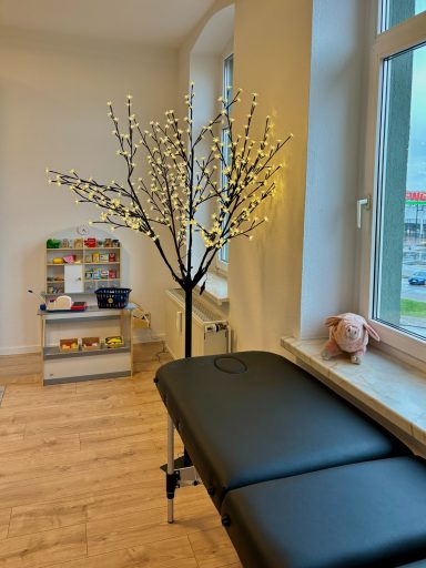 Massage-Liege und kleiner Kaufmannsladen im Behandlungszimmer von Romy Georgi. 